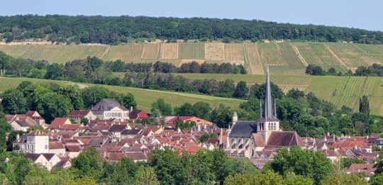 Weinreise Burgund und Champagne, Vinothek W&auml;spi, Hombrechtikon