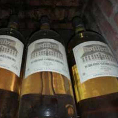 Weinreise Wachau und Kamptal
