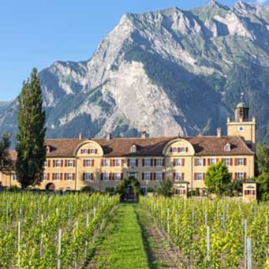 Degustation, Schweizer Weine