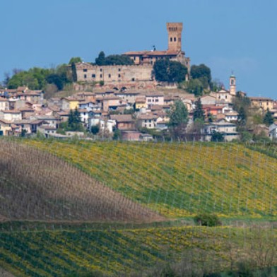 Wein- und Genussreise Oltrepò Pavese