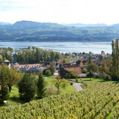 Aktionärsanlass - Weingut Bachmann