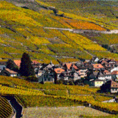 Weinreise Neuenburg - Lavaux - Genf