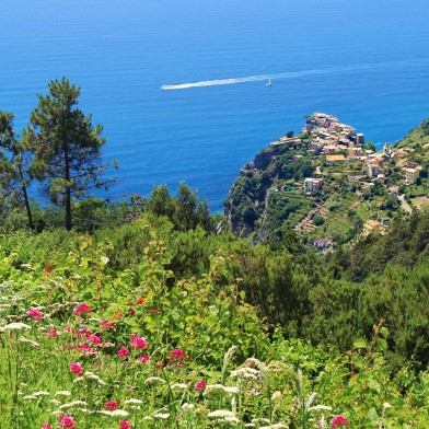 Wein- und Genussreise Cinque Terre und Toskana