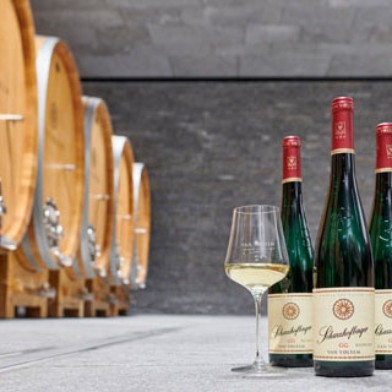 Wein- und Genussreise Saar - Pfalz - Elsass
