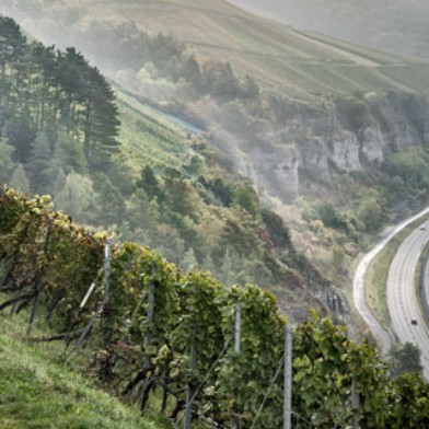 Wein- und Genussreise Franken - Würzburg
