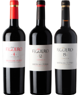 DEGUBOX FIGUERO