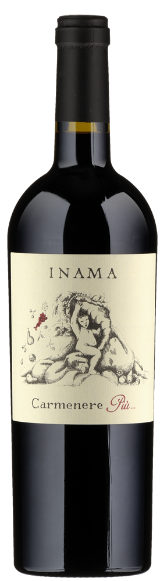Carmenere Più Carmenere Più
